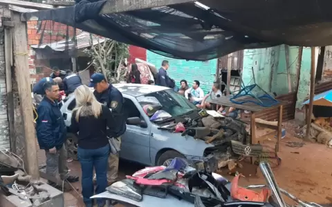 Detienen a presuntos delincuentes que utilizaban a un mono como "c�mplice"