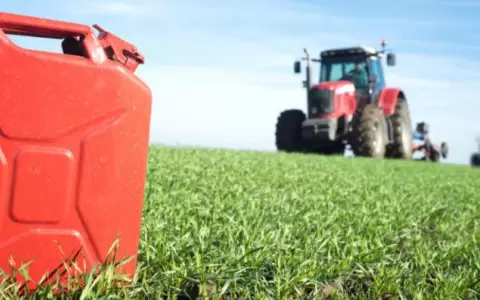 Biocombustible paraguayo se exportar� a Europa y Estados Unidos