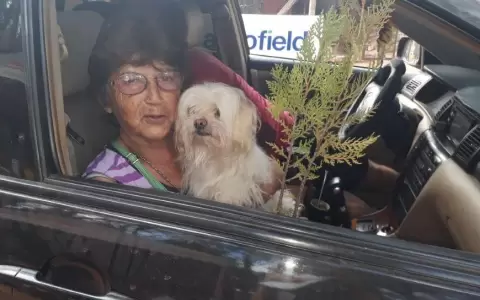 Casi 400 mascotas accedieron a vacunaci�n a trav�s del "AutoCan"