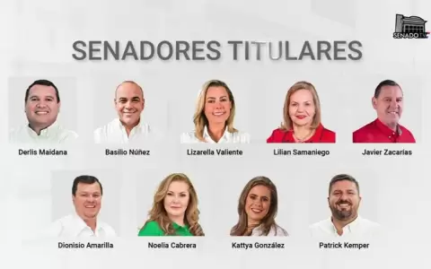 Senado design� a miembros del Parlamento del Mercosur
