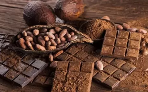 D�a Mundial del Cacao: cu�l es su origen y c�mo se celebra en el mundo