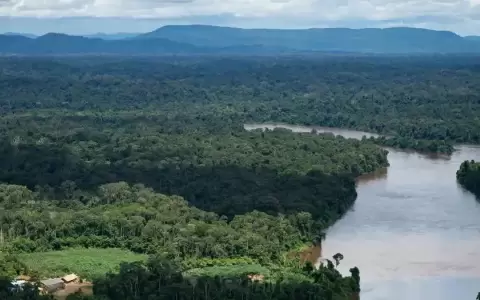 Maduro expulsar� con el ej�rcito a 10.000 mineros ilegales