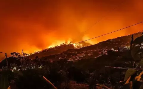 Alerta en Sicilia: incendios forestales obligan a evacuar a los turistas y causan graves da�os al medio ambiente