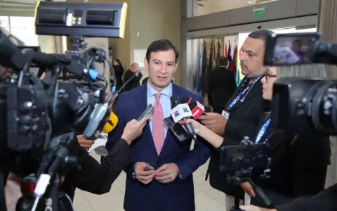 Ovelar asegura que si ten�s mayor�a y no ocup�s espacios �sos un pelotudo�