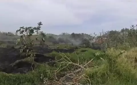 Reportan incendio forestal en Capiat�