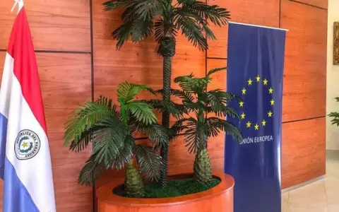 Pe�a anticipa que promulgar� la derogaci�n del convenio con la UE por tener �errores�