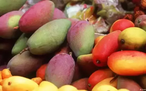 China suspende importaci�n de mangos de Taiw�n