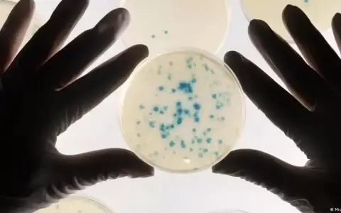 Logran "entrenar" a bacterias para que detecten c�ncer