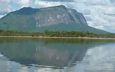 SOS Orinoco alerta del ecocidio en la Amazon�a venezolana
