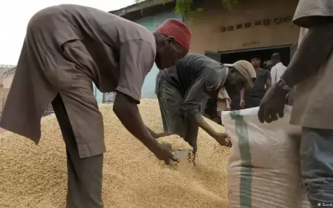 FAO: precio de alimentos sube tras fin de acuerdo de granos