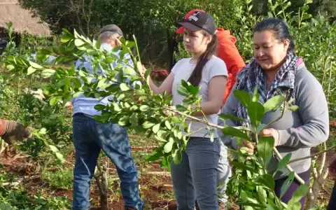 Las mujeres lideran la fuerza de trabajo en el Paraguay seg�n el INE