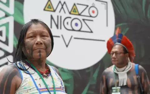 Cumbre en Brasil busca hoja de ruta para salvar la Amazon�a