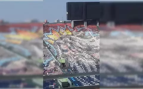 Las primeras im�genes del mosaico