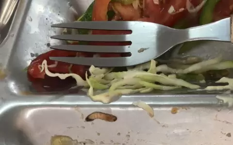 Indignante trato a personal de salud: reciben alimentos con gusanos pese a millonaria adjudicaci�n