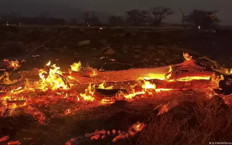Asciende cifra de muertos en incendios forestales en Haw�i