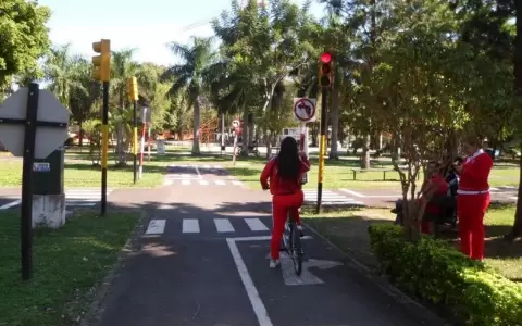 MEC insta a prevenir accidentes viales: �Nada es m�s urgente que tu vida�
