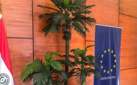 Mercosur alerta sobre consecuencias de rechazo a exigencias ambientales de la UE