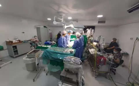 Donaci�n de �rganos: el punto de partida de los trasplantes