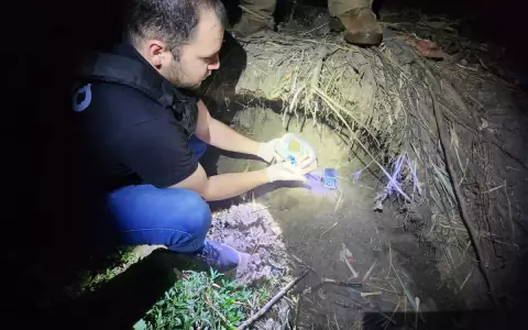 Senad saca de circulaci�n casi 30 toneladas de marihuana en Bella Vista Norte