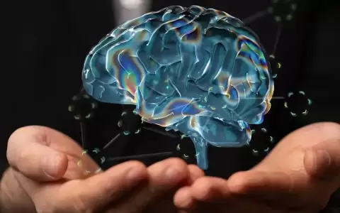 �Es cierto que utilizamos solo el 10 % de nuestro cerebro?