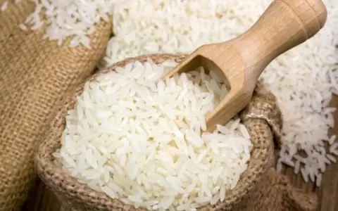 Auge en las exportaciones de arroz: crecimiento del 48,3 % en el primer semestre