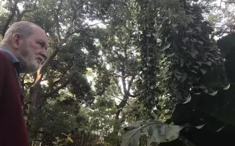 Pinta Sud ASU 2023: �ngel Yegros inaugura �Toryha� en Espacio K