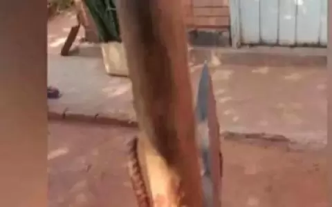 Investigan presunto intento de feminicidio