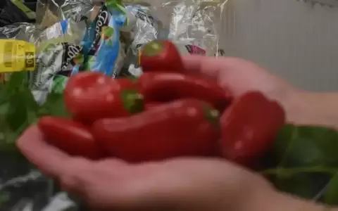 Donaci�n obligatoria para frenar el desperdicio de alimentos