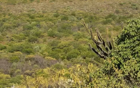 APP impulsa el desarrollo sostenible de agroecosistemas en el Chaco