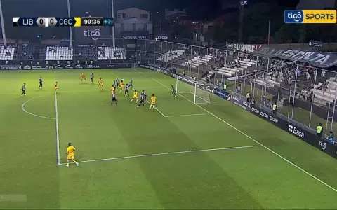 Duarte: �El gol anulado es de VAR, pero del bar de la esquina�
