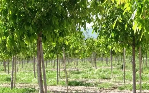 Infona destaca logros de su gesti�n 2018-2023