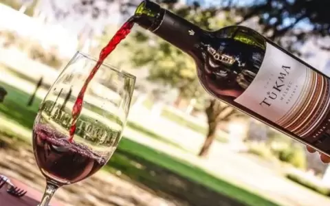 Bodegas de Salta y Jujuy promocionan sus vinos en el mercado nacional