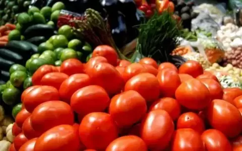 Exportaciones de productos agr�colas en alza: crecimiento del 79,5 % hasta julio