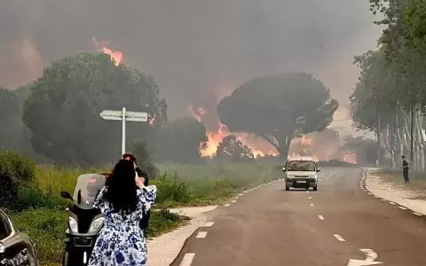 Un incendio en los Pirineos obliga a m�s de 3.000 viajeros y lugare�os a evacuar
