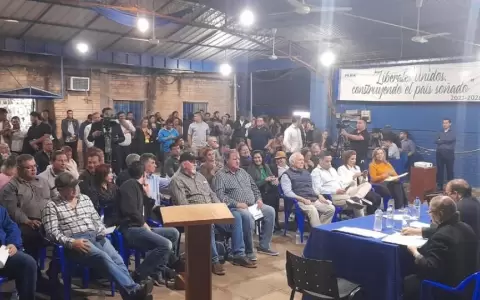 Tras destituci�n de Alegre: reactivaron sesi�n del Directorio del PLRA