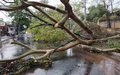 Nueva alerta de tormentas para 13 departamentos del pa�s