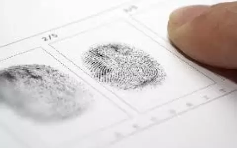 Hoy recuerdan el D�a Mundial de la Dactiloscop�a y Criminal�stica