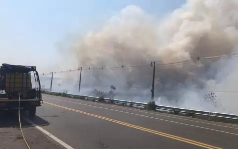 Incendio forestal en zona de ruta Luque-San Bernardino afecta una reserva natural