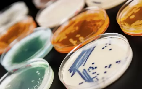 �Superbacterias: La batalla de nuestras vidas�, una nueva exhibici�n interactiva de MuCi en el TatakuaLab