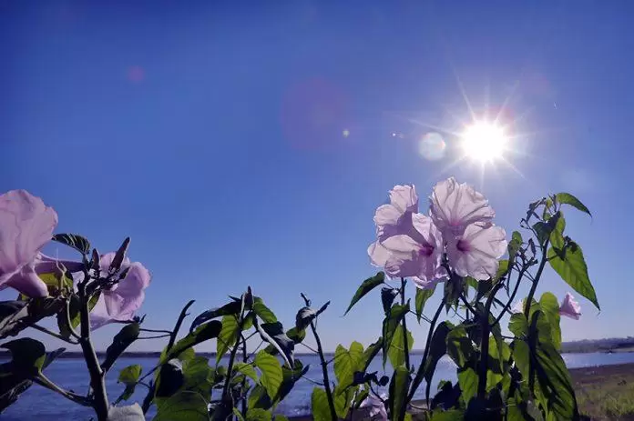 Paraguay recibe la semana de la primavera más atípica de los últimos años