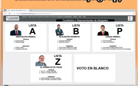 Simulador web para elecciones de abogados para el Consejo ya est� disponible en el TSJE