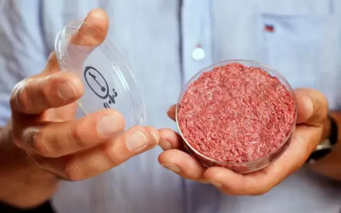 Proyecto de ley busca prohibir la "carne sint�tica"