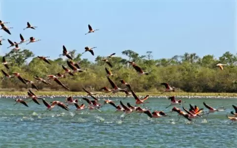 Paraguay celebra el D�a Mundial del Turismo con mucha naturaleza que mostrar