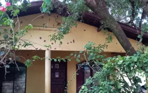 Llamativo ataque a la residencia de jueza en Pedro Juan Caballero despierta intriga