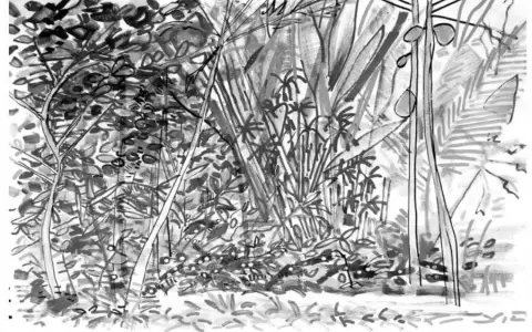 Taller de dibujo y percepci�n visual con Nelson Martinesi en BGN/Arte