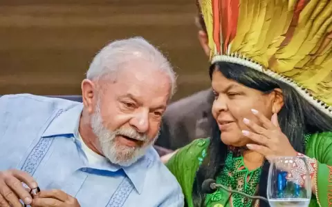 Brasil demarcar� nuevas tierras ind�genas y zonas protegidas