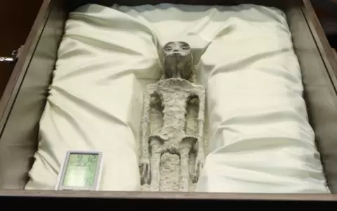 Presentan presuntos cuerpos de extraterrestres en M�xico