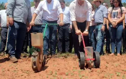 Capexse da inicio oficial a la siembra de s�samo con perspectivas prometedoras
