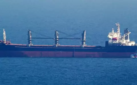 Zarpa primer barco con cereal ucraniano retando bloqueo ruso