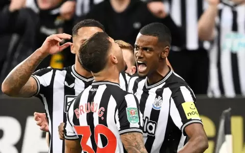 El Newcastle de Almir�n elimina al Manchester City